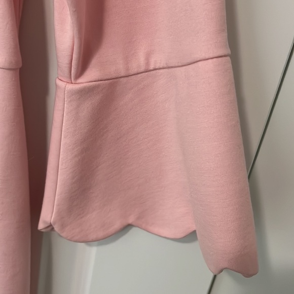 NWT Talbots Stunning Pink Dress - Picture 2 of 10